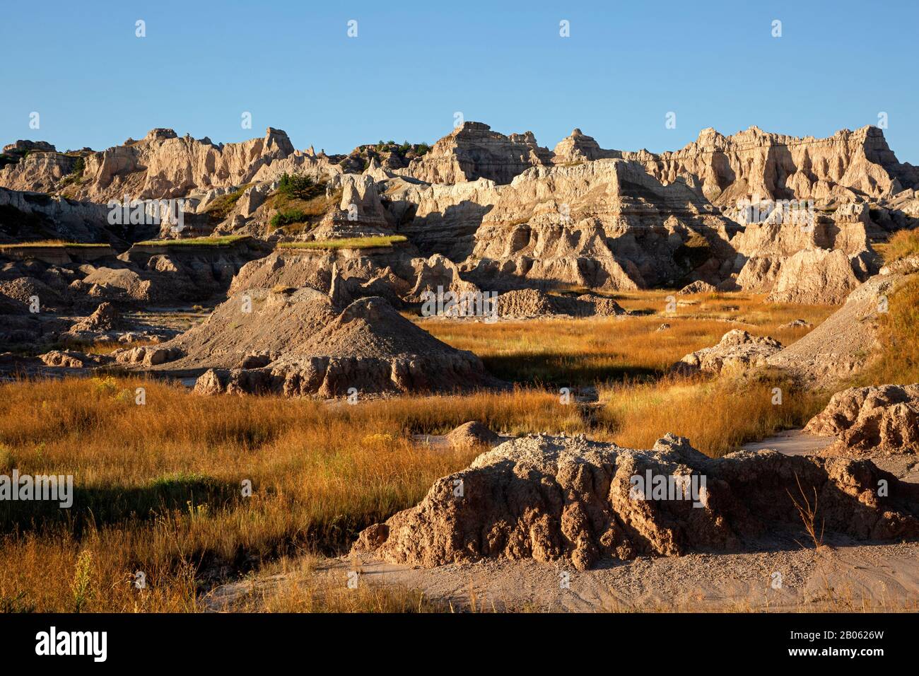 SD00117-00...SOUTH DAKOTA - la luce della mattina presto sulla roccia tenera e erosa nel Badlands National Park. Foto Stock