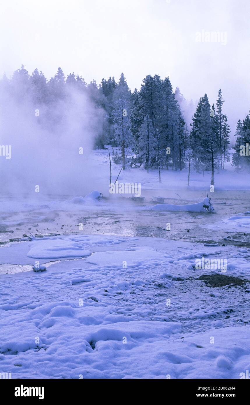 USA, WYOMING, PARCO NAZIONALE DI YELLOWSTONE, FONTANA VERNICE PENTOLA AREA, SORGENTI TERMALI, SCENA INVERNALE Foto Stock