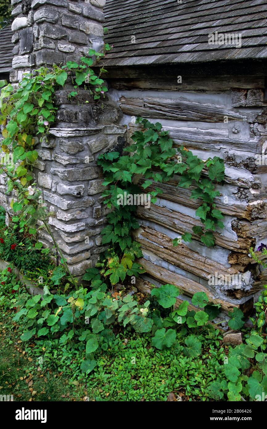 USA, WISCONSIN, VICINO A STOREON BAY, DOOR COUNTY, FISH CREEK, VILLAGGIO SCENA, VECCHIA CABINA, DETTAGLIO Foto Stock