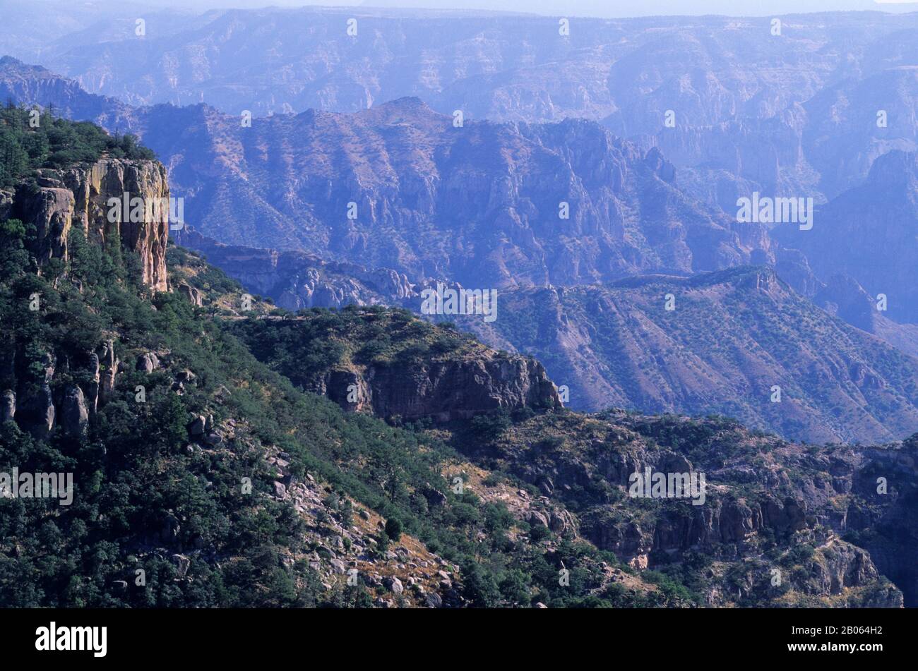MESSICO, CHIHUAHUA, PARCO NAZIONALE DEL COPPER CANYON, VISTA DEL CANYON, PARETI RIPIDE DEL CANYON, SCOGLIERE Foto Stock
