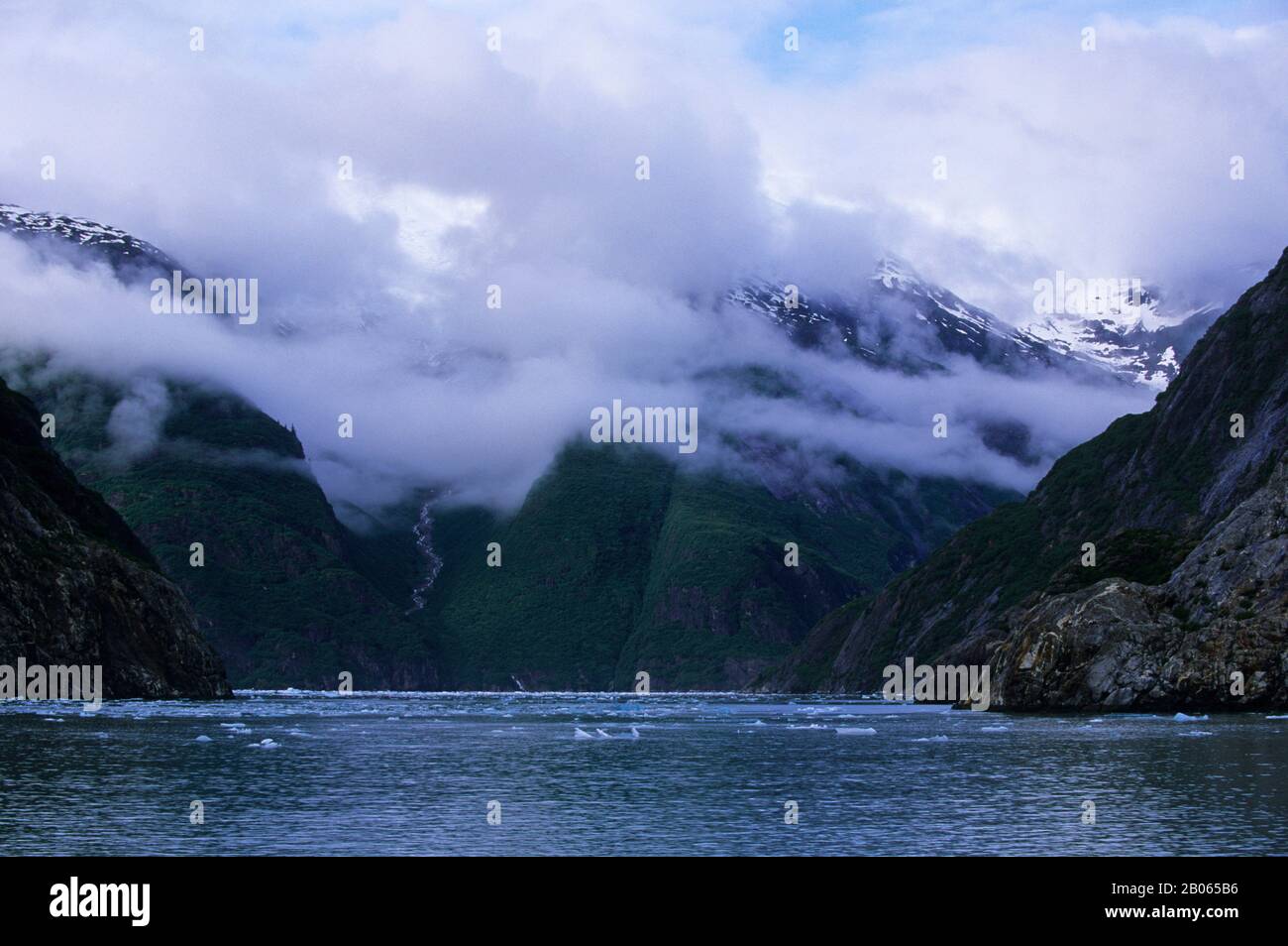 USA, ALASKA, VICINO JUNEAU, TRACY ARM, FJORD SCOLPITO DAL GHIACCIAIO Foto Stock