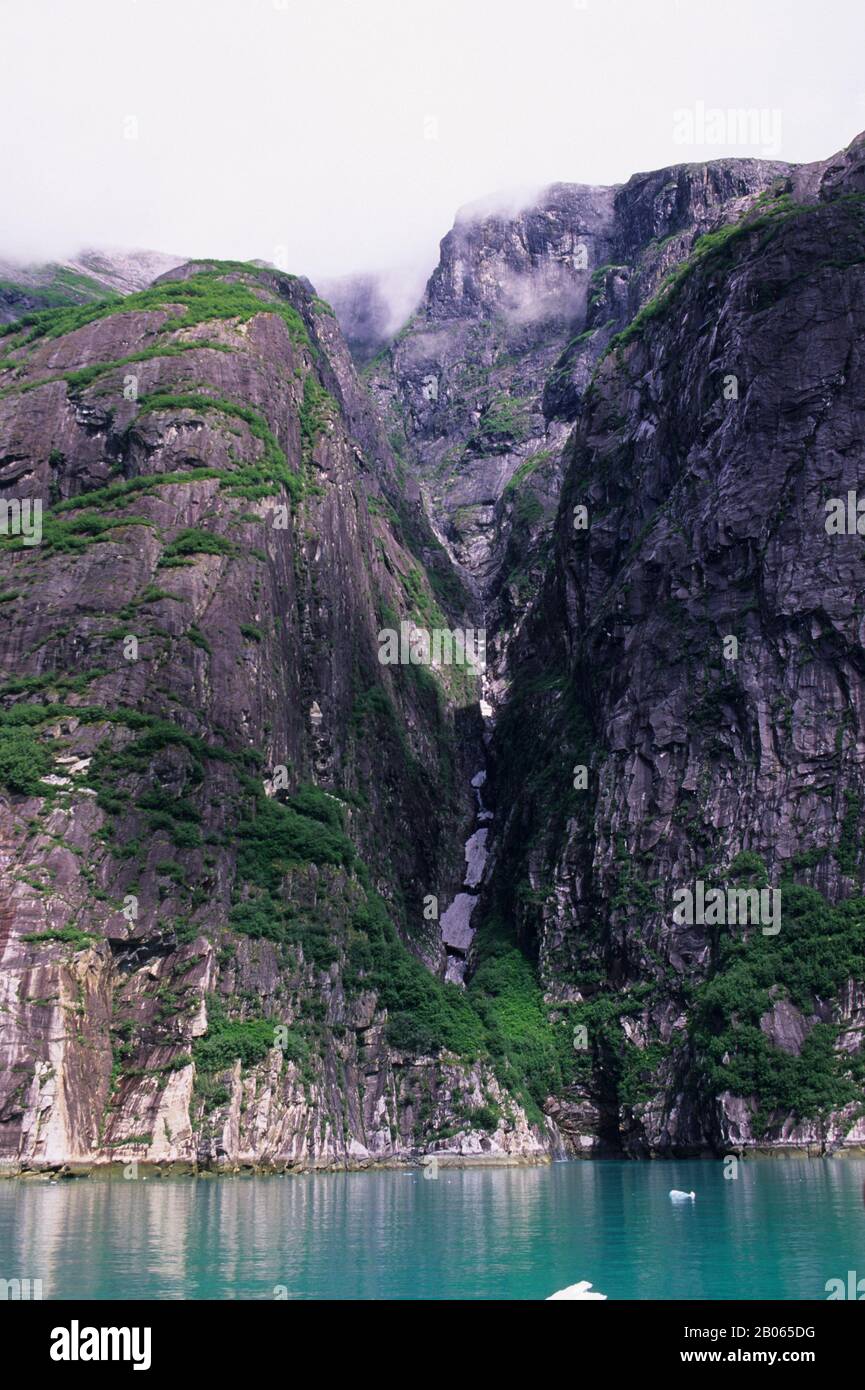 USA, ALASKA, VICINO JUNEAU, TRACY ARM, FJORD SCOLPITO DAL GHIACCIAIO Foto Stock