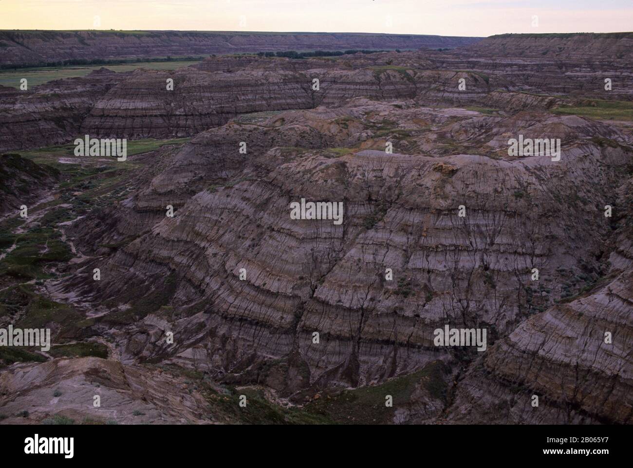 CANADA, ALBERTA, DRUMHELLER, CANADIAN BADLANDS, HORSETHIEF CANYON Foto Stock