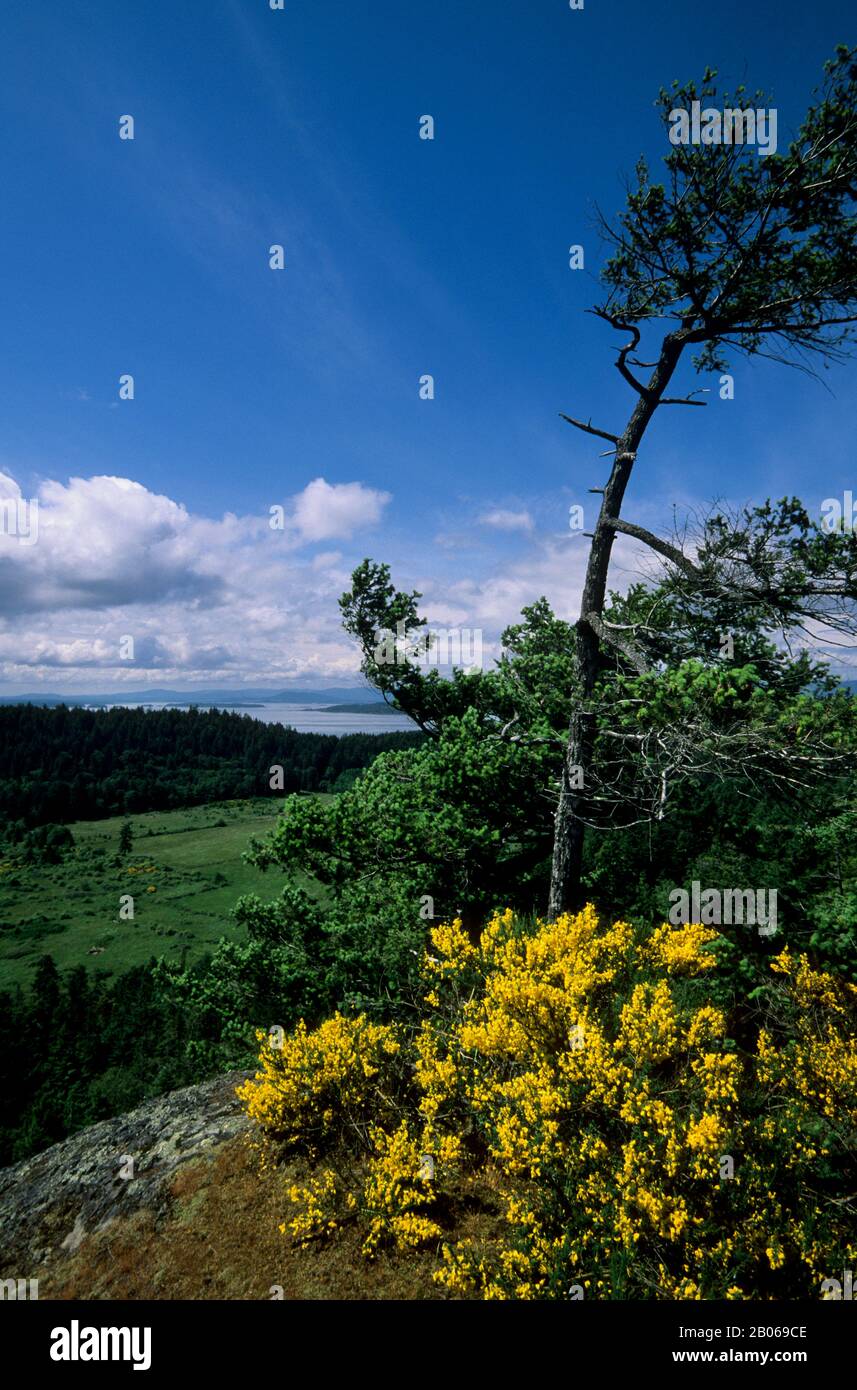 CANADA, B.C., ISOLE DEL GOLFO DEL SUD, ISOLA DI PENDER SUD, SENTIERO DEL CASTELLO, VISTA Foto Stock