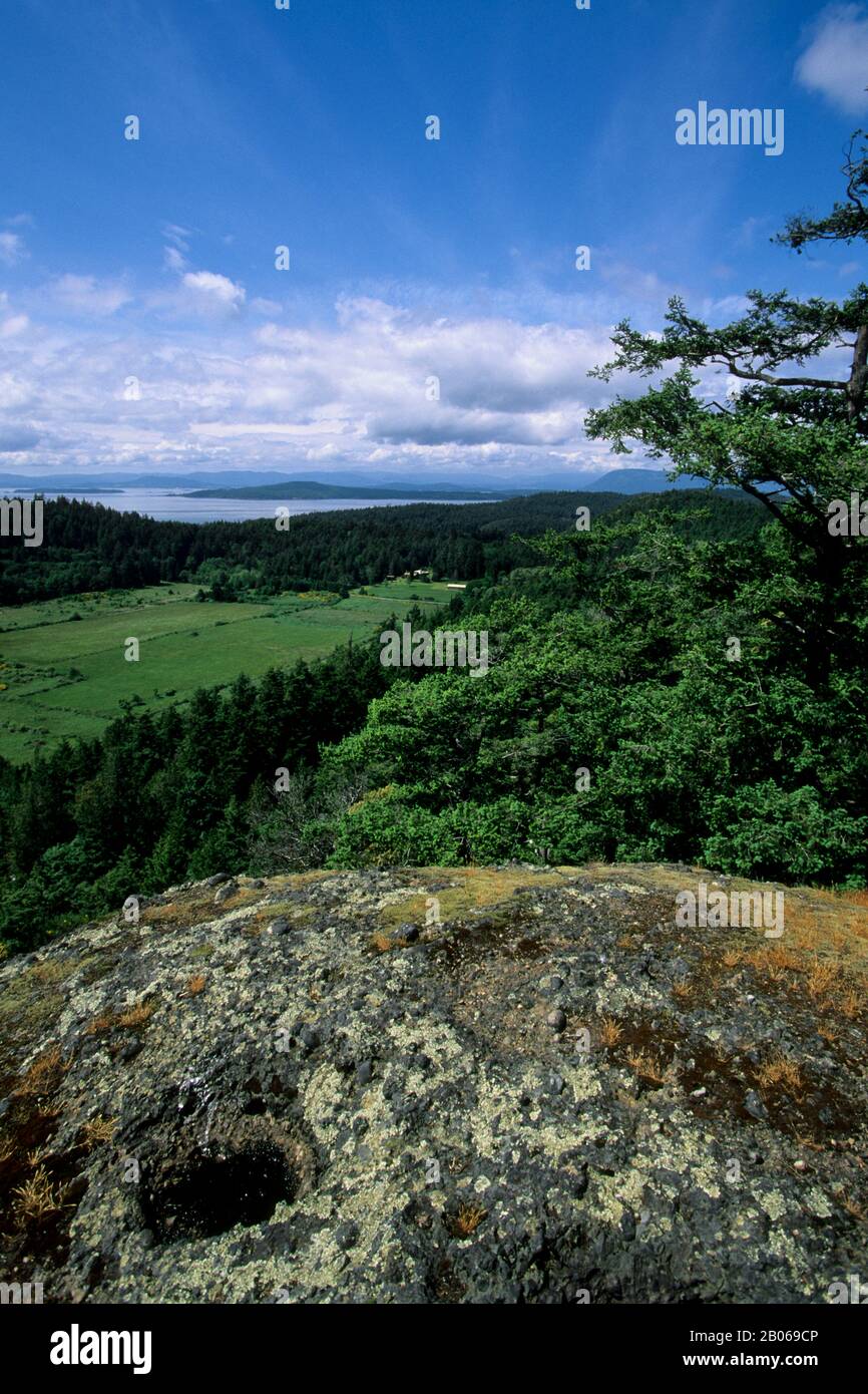 CANADA, B.C., ISOLE DEL GOLFO DEL SUD, ISOLA DI PENDER SUD, SENTIERO DEL CASTELLO, VISTA Foto Stock