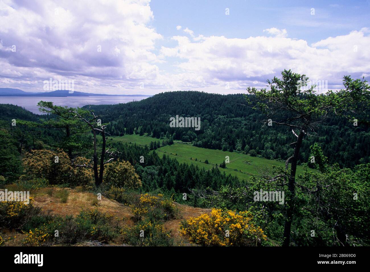 CANADA, B.C., ISOLE DEL GOLFO DEL SUD, ISOLA DI PENDER SUD, SENTIERO DEL CASTELLO, VISTA Foto Stock