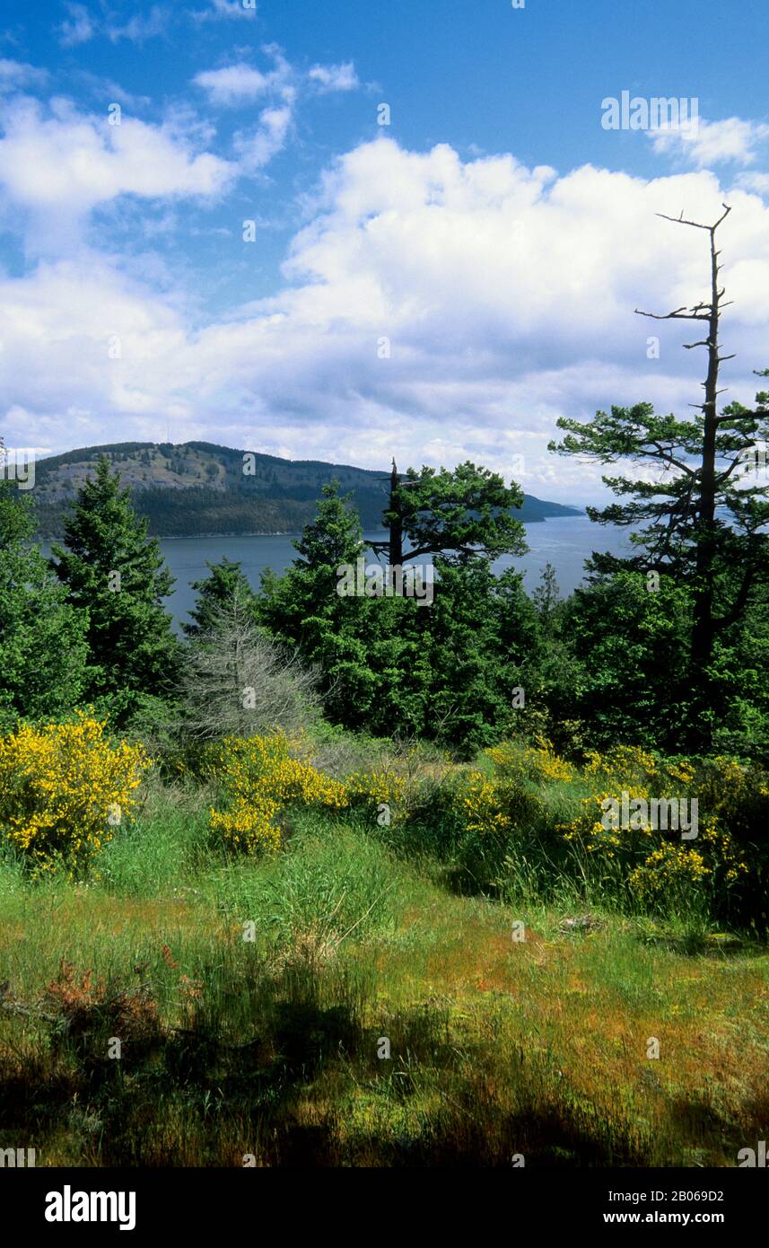 CANADA, B.C., ISOLE DEL GOLFO DEL SUD, ISOLA DI PENDER SUD, SENTIERO DEL CASTELLO, VISTA Foto Stock