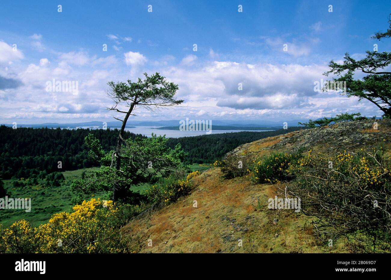 CANADA, B.C., ISOLE DEL GOLFO DEL SUD, ISOLA DI PENDER SUD, SENTIERO DEL CASTELLO, VISTA Foto Stock