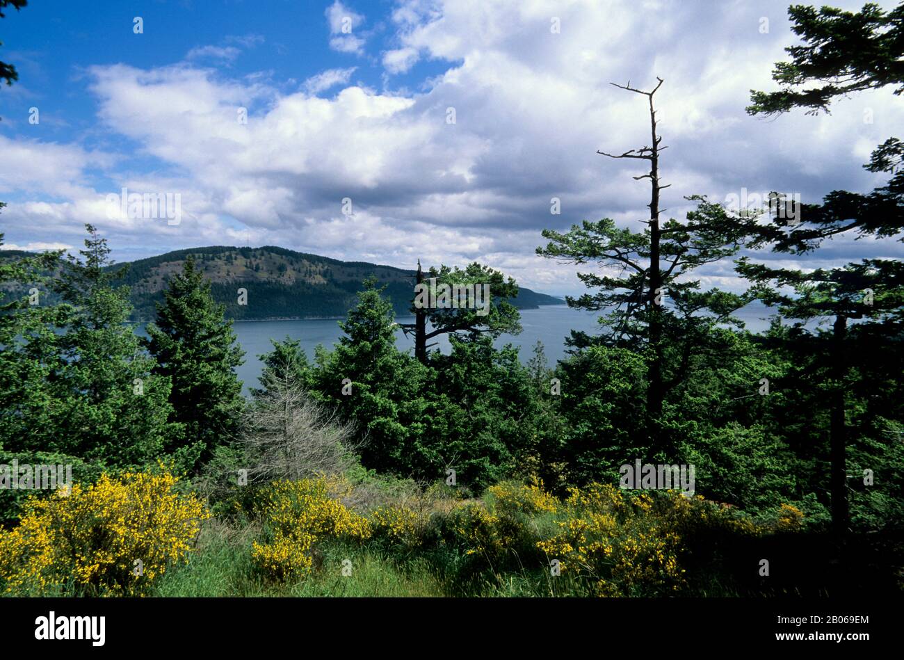CANADA, B.C., ISOLE DEL GOLFO DEL SUD, ISOLA DI PENDER SUD, SENTIERO DEL CASTELLO, VISTA Foto Stock