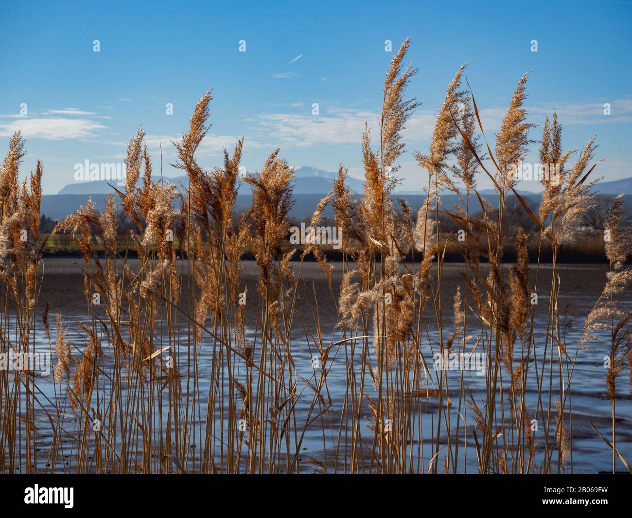 Piccolo lago in una soleggiata giornata invernale Foto Stock