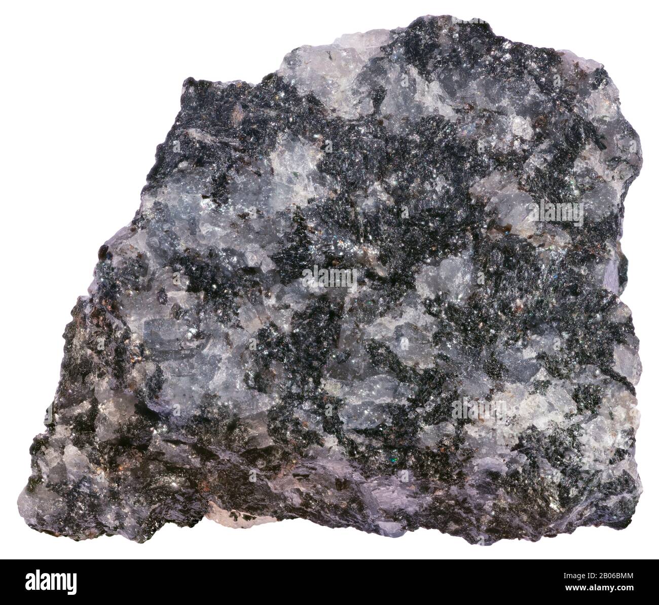Gabrodiorite, Plutonico, Lanark, Ontario Rocks sul confine mineralogico tra gabbro e diorite. Da grigio scuro a nero, da grana fine a media, e. Foto Stock