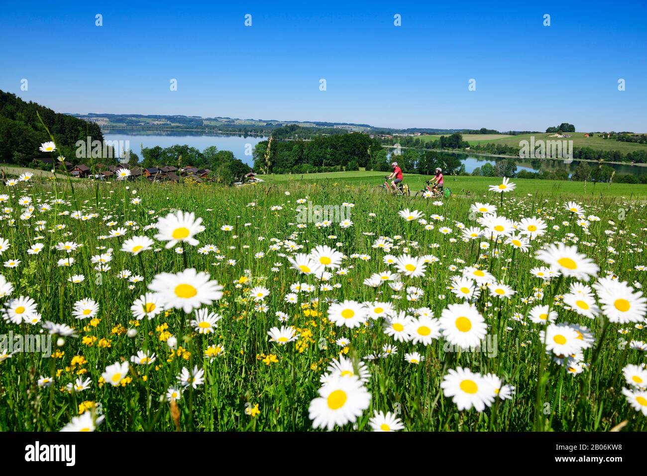 Coppia con bici elettriche a cavallo sopra il lago Mattsee, Ramoos, Mattsee, Salisburgo Lakeland, Salisburgo Land, Austria Foto Stock