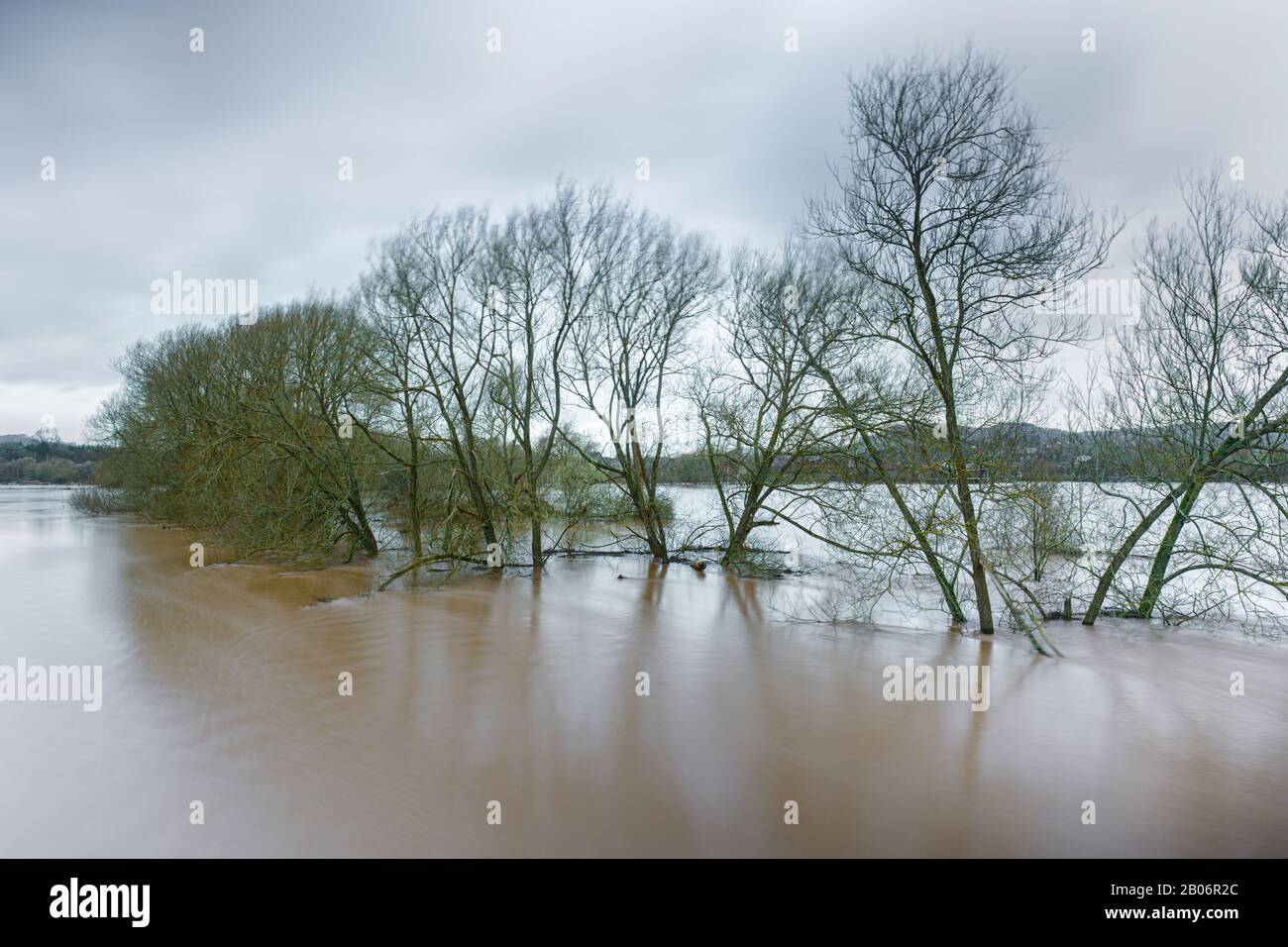 Record di rottura di alti livelli d'acqua nel fiume Wye a Monmouth, febbraio 2020. Foto Stock