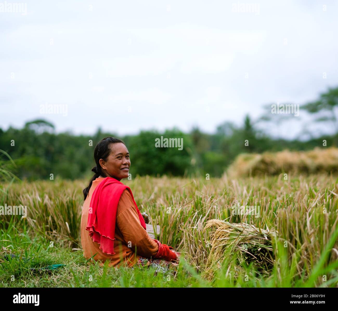 Agricoltura a Bali Foto Stock