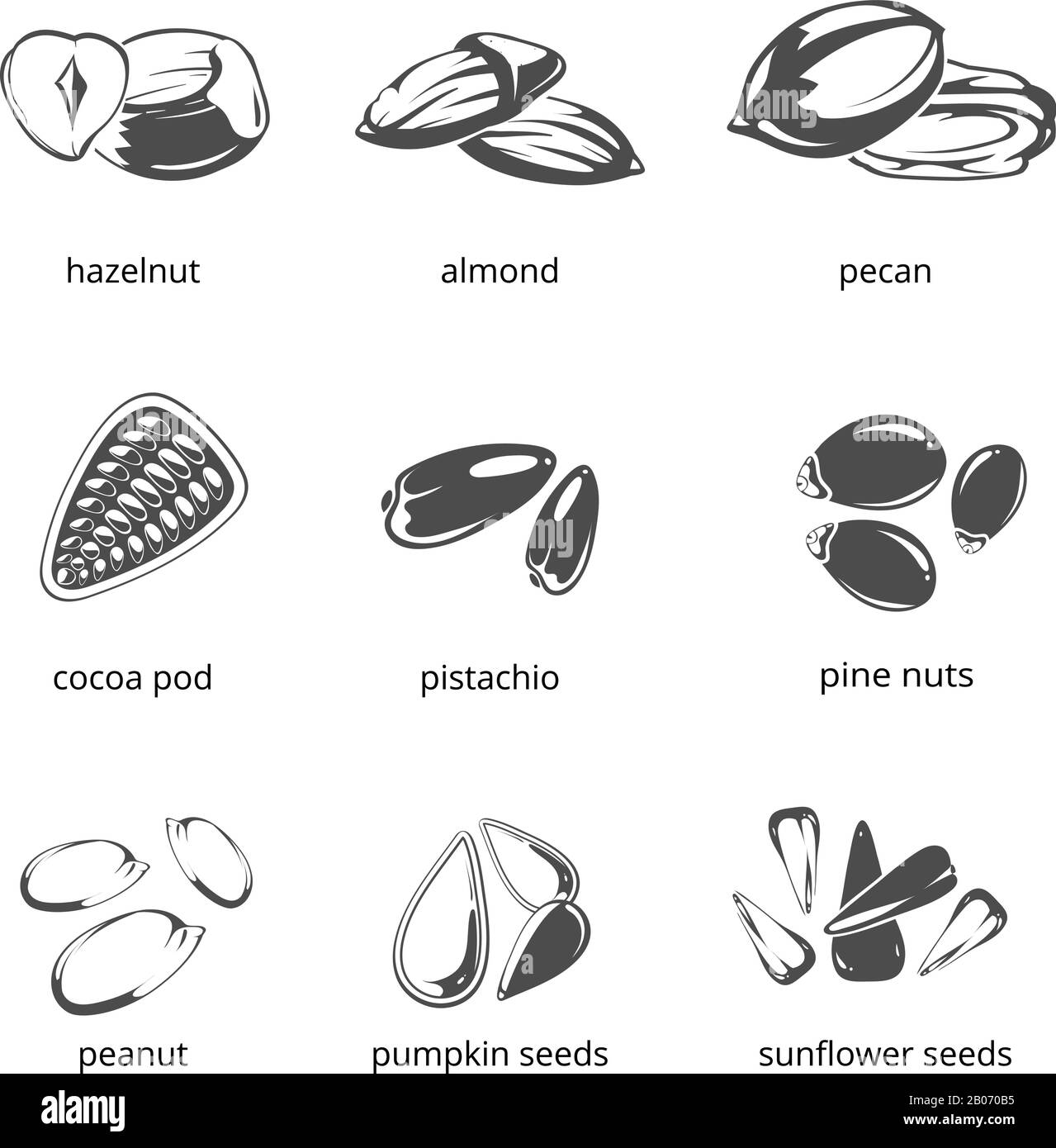 Icone vettoriali monocromatiche semi e noci. Illustrazione di alimenti sani, nocciole e semi di girasole Illustrazione Vettoriale