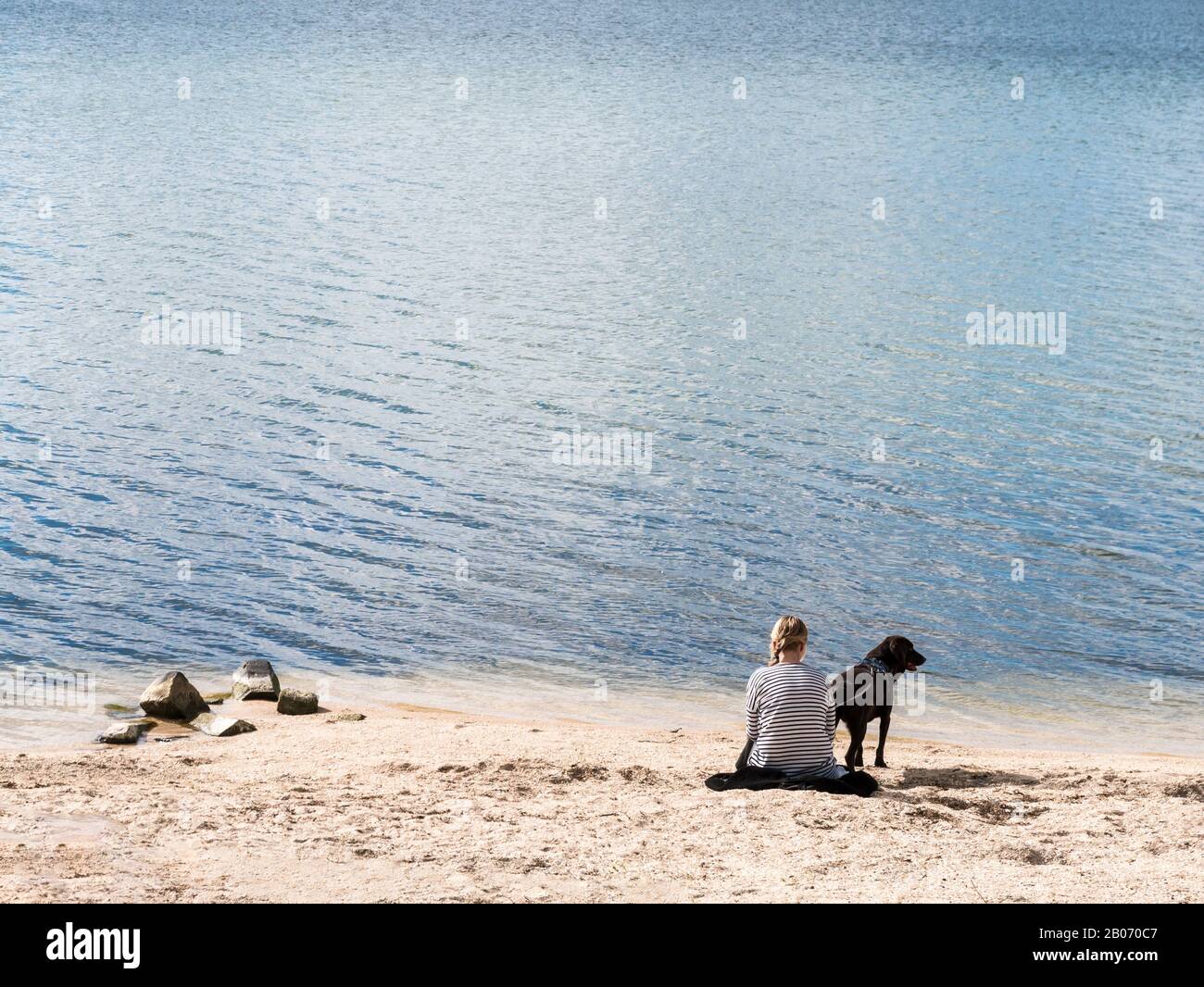 Vista posteriore di giovane donna con cane seduto sulla spiaggia che si affaccia sul lago, Paesi Bassi Foto Stock