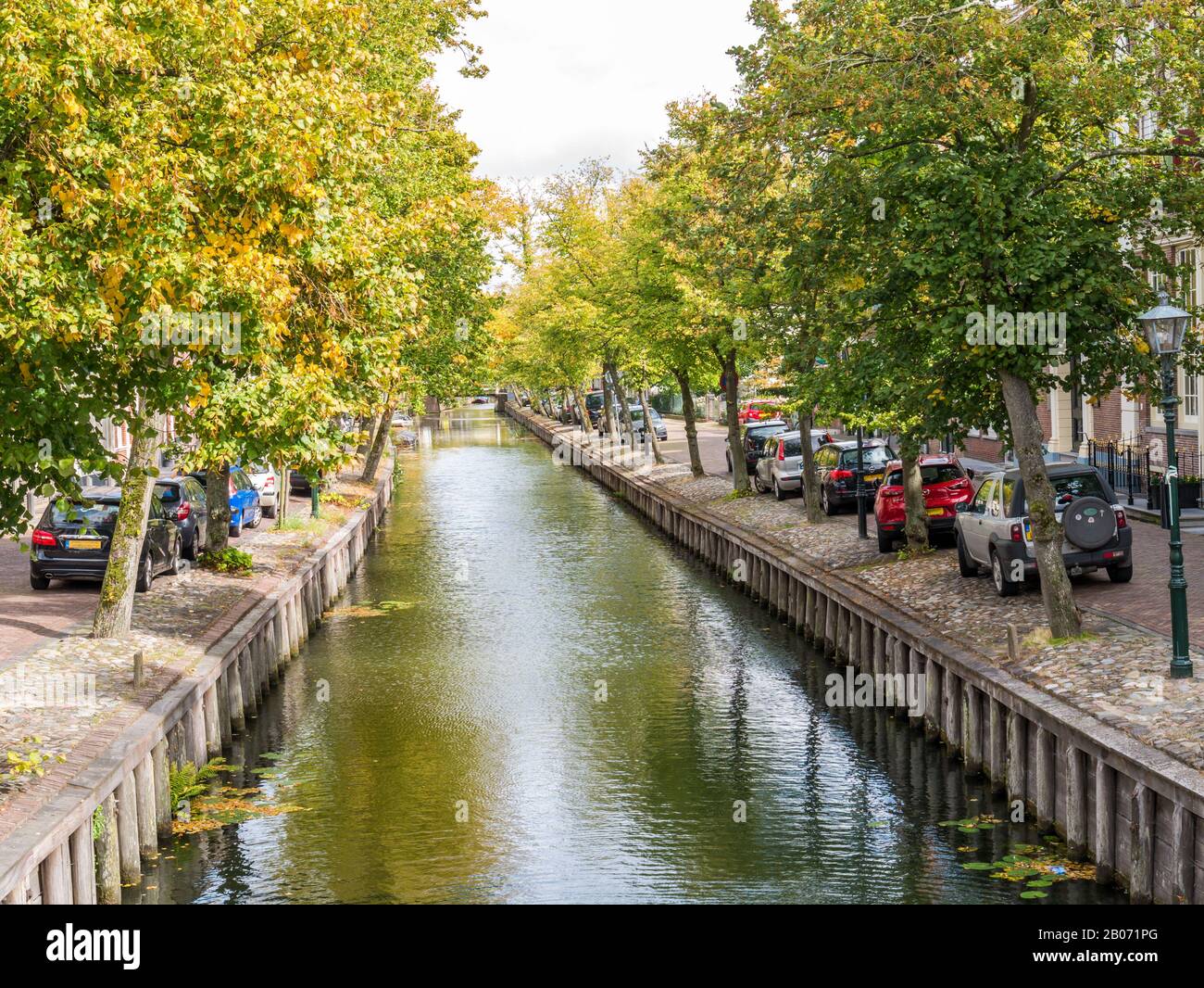 File di alberi lungo il canale Voorhaven a Edam, Noord-Holland, Paesi Bassi Foto Stock