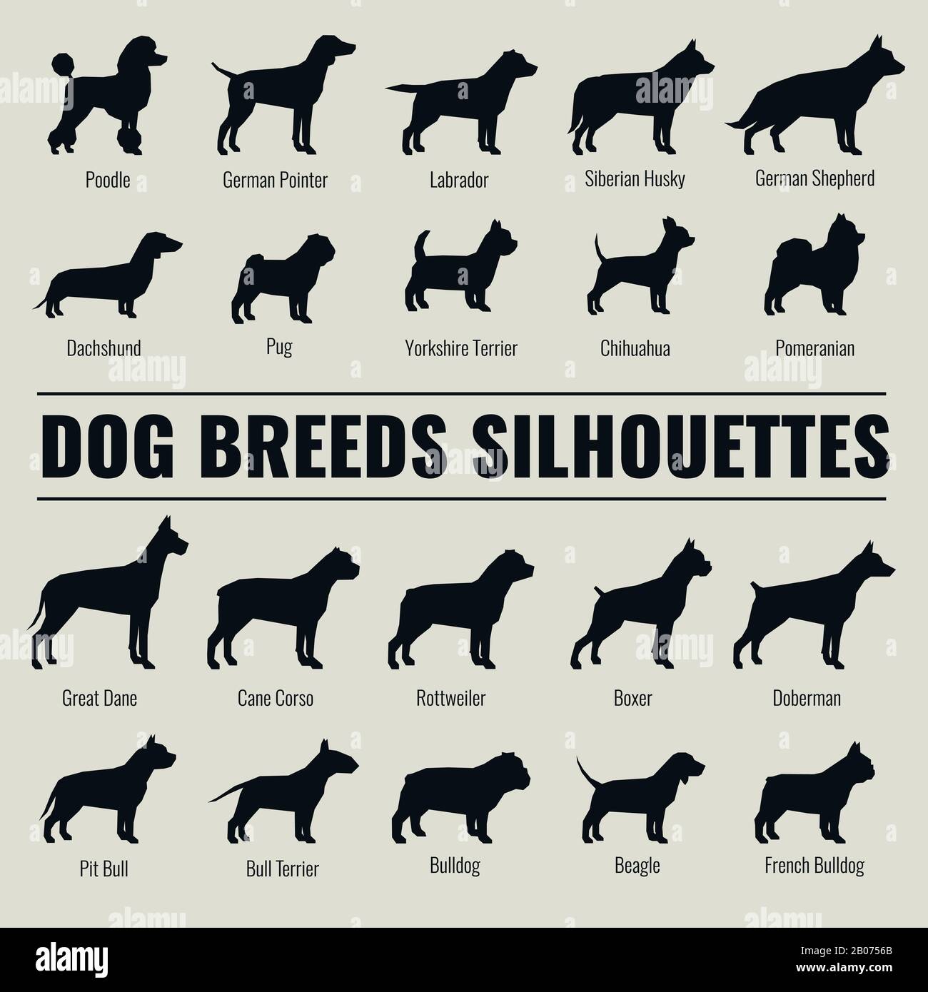 Set di sagome vettoriali razze di cani. Poodle e pastore tedesco, dachshund e pug illustrazione Illustrazione Vettoriale