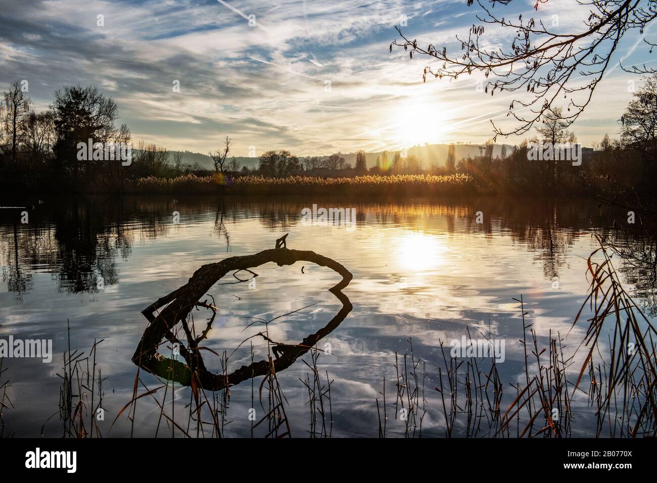 Un tramonto invernale sul lago con ramo d'albero in acqua. Foto Stock