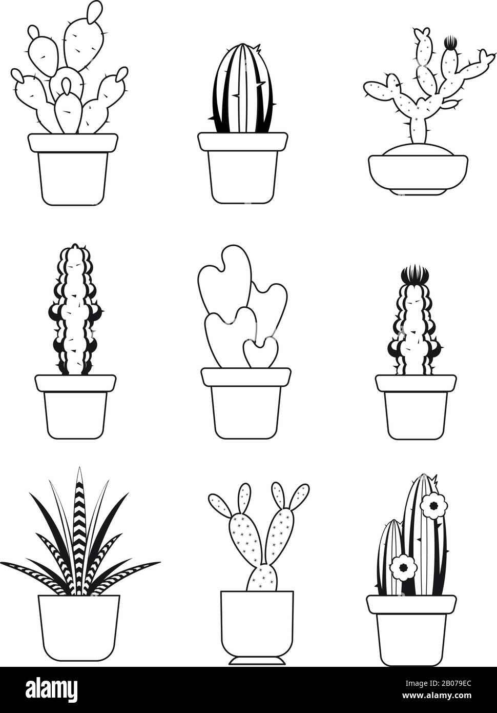 Vettore disegnato a mano contorno cactus, deserto thorn tree set. Pianta tropicale con illustrazione dell'ago Illustrazione Vettoriale