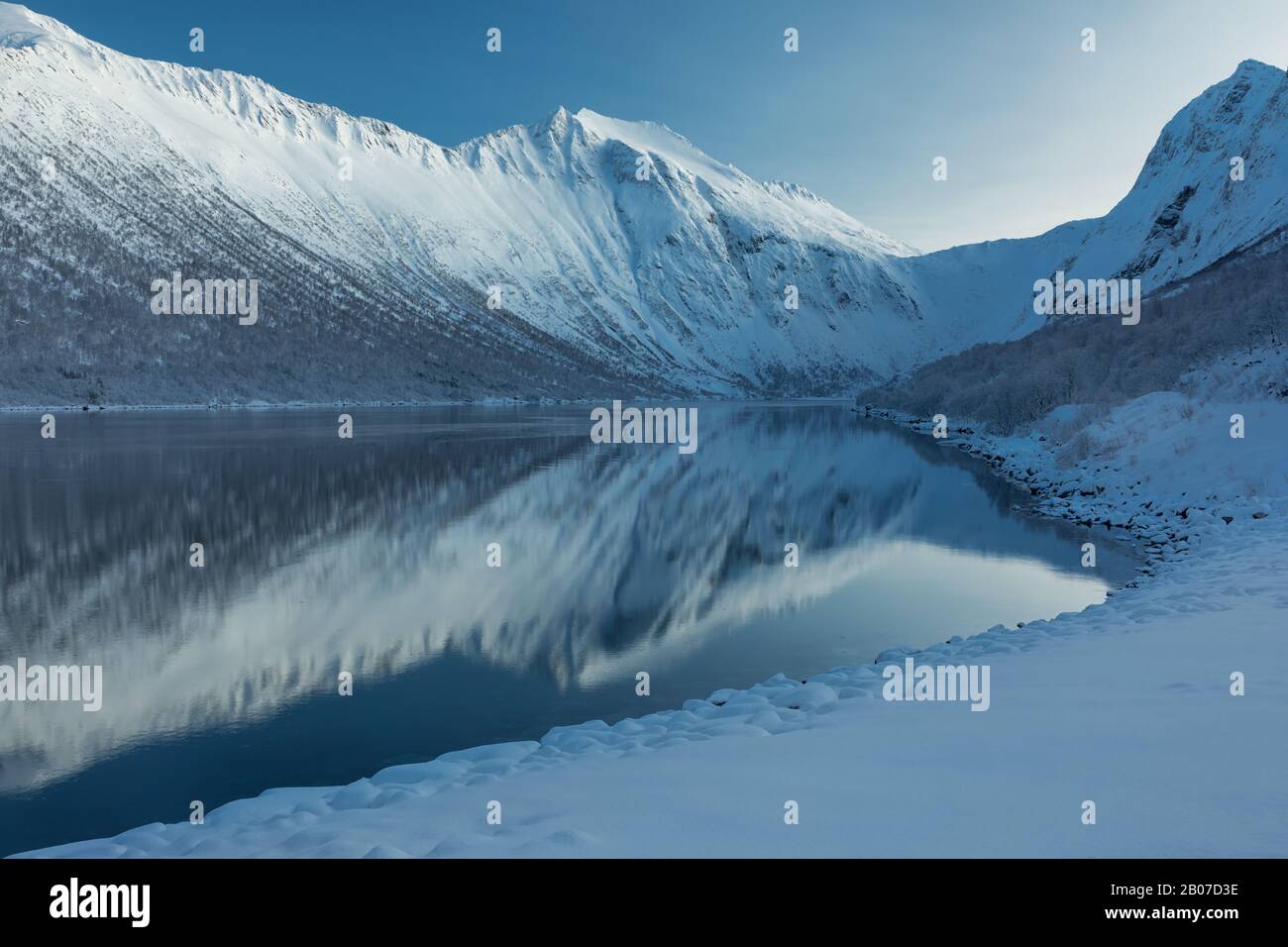 Gryllefjord Reflection In Winter, Senja, Norvegia Foto Stock