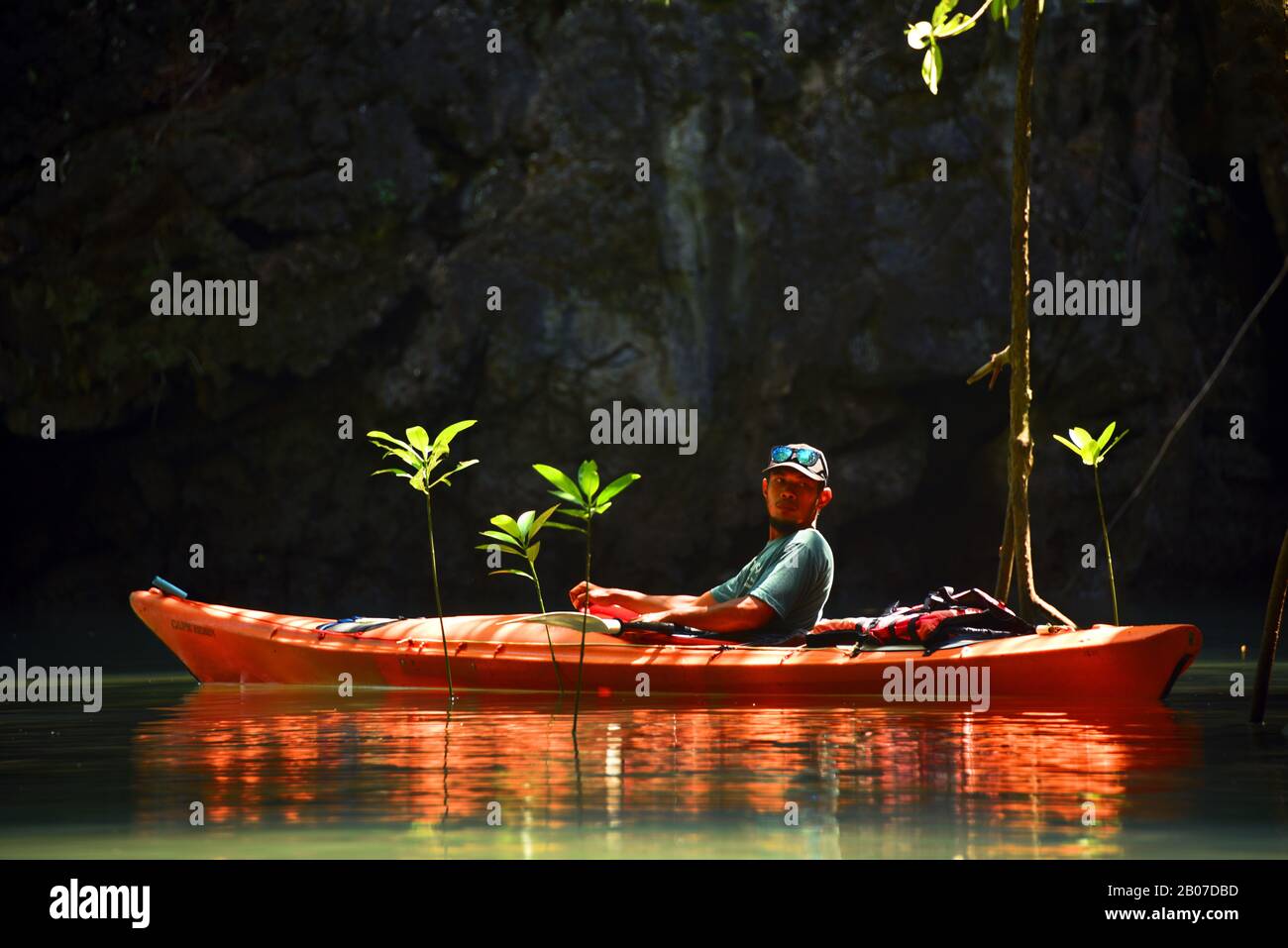 Kayak e mangrovie in controluce, Thailandia, Phuket, Parco Nazionale Ao Phang Nga Foto Stock