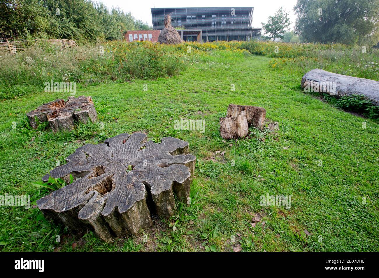 Educazione alla natura, centro visitatori, Belgio, Fiandre Orientali, Bourgoyen Foto Stock