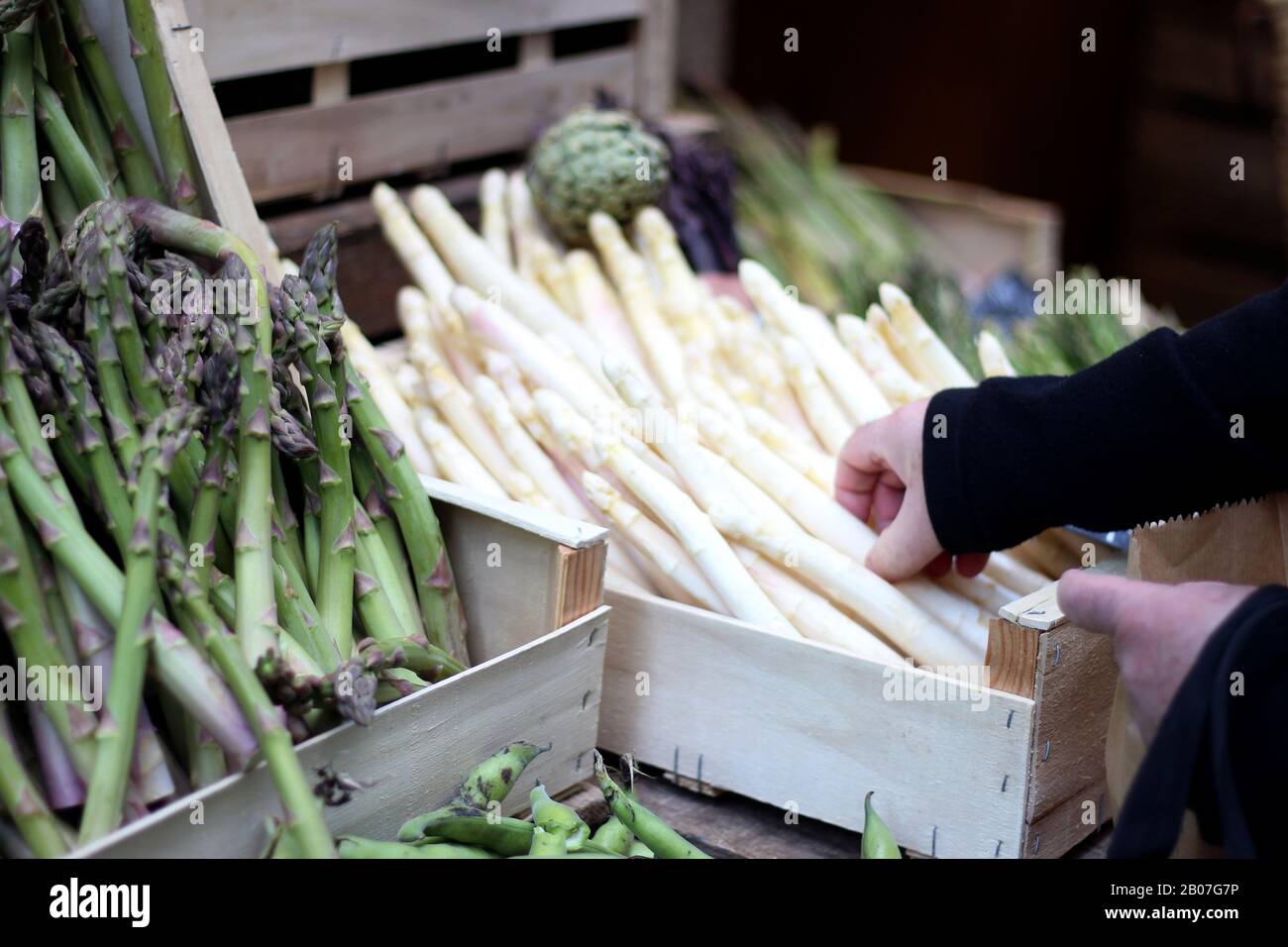 Asparagi freschi verdi e bianchi al mercato contadino di Parigi, in Francia. Persona che acquista asparagi bianchi in negozio di alimentari. Foto Stock