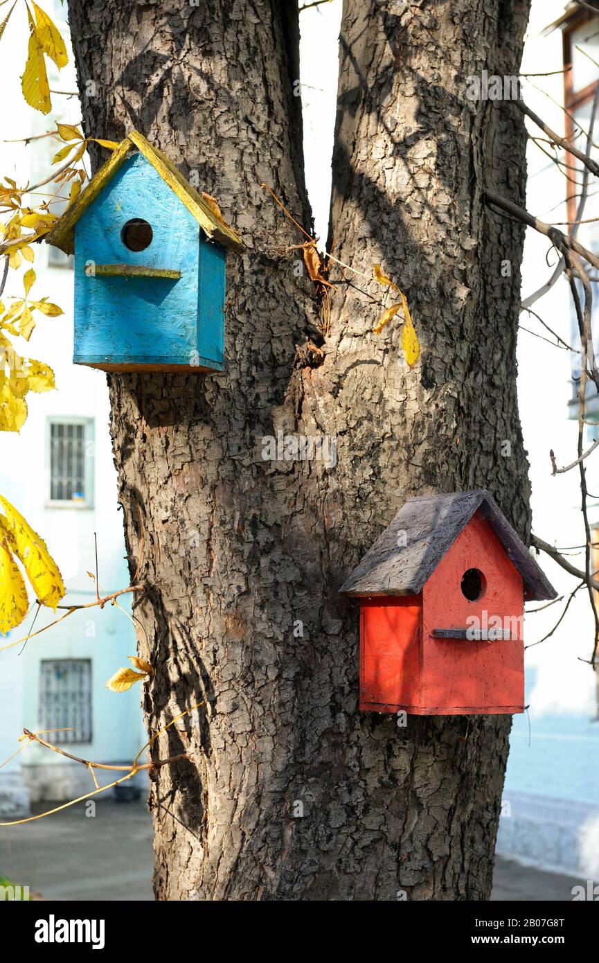 Scatole di nidificazione fatte a mano appese su un albero Foto Stock