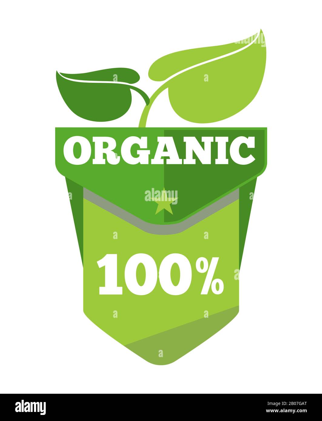 Etichetta ecologica naturale biologica con foglie. Adesivo con simbolo verde, illustrazione vettoriale Illustrazione Vettoriale