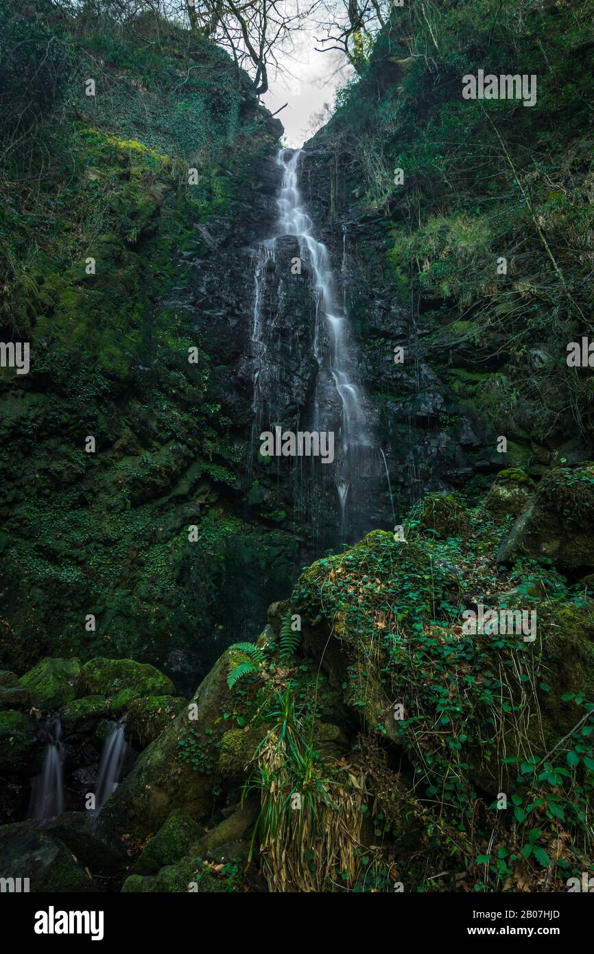 Lunga esposizione di una cascata in una foresta verde Foto Stock