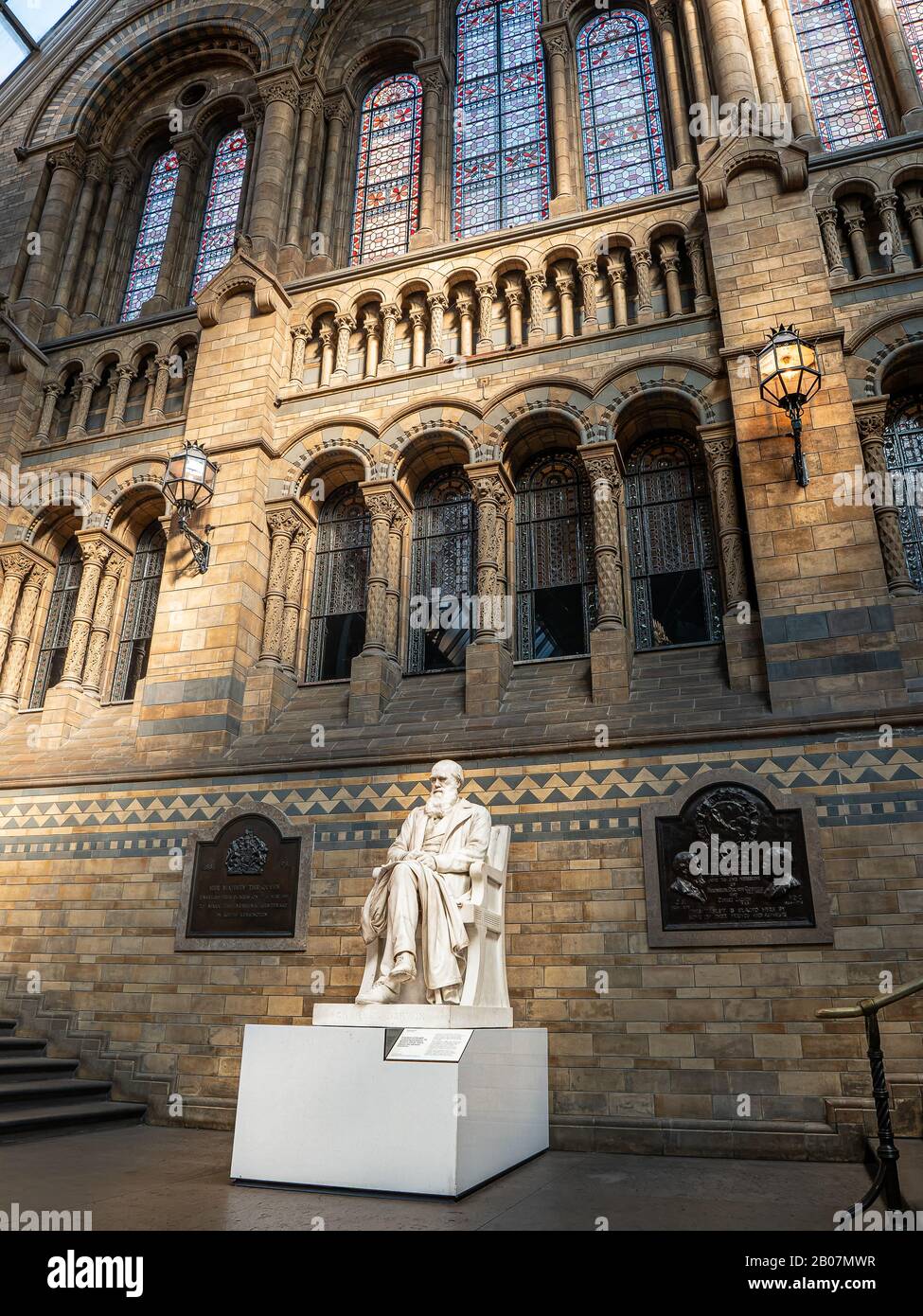 Londra, Regno Unito. Circa Dicembre 2019. Statua di Charles Darwin, padre della teoria dell'evoluzione delle specie, situato nel Natural Histor Foto Stock
