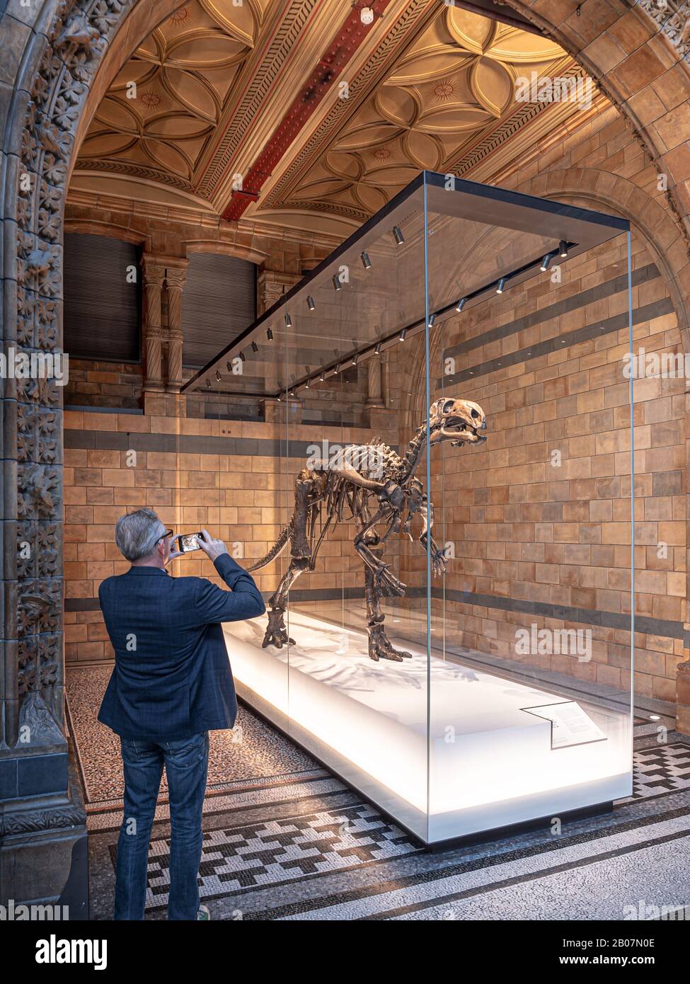 Londra, Regno Unito. Circa Dicembre 2019. Turista che scatta foto ad un dinosauro (Mantellissaurus) nel Museo di Storia Naturale di Londra. Foto Stock