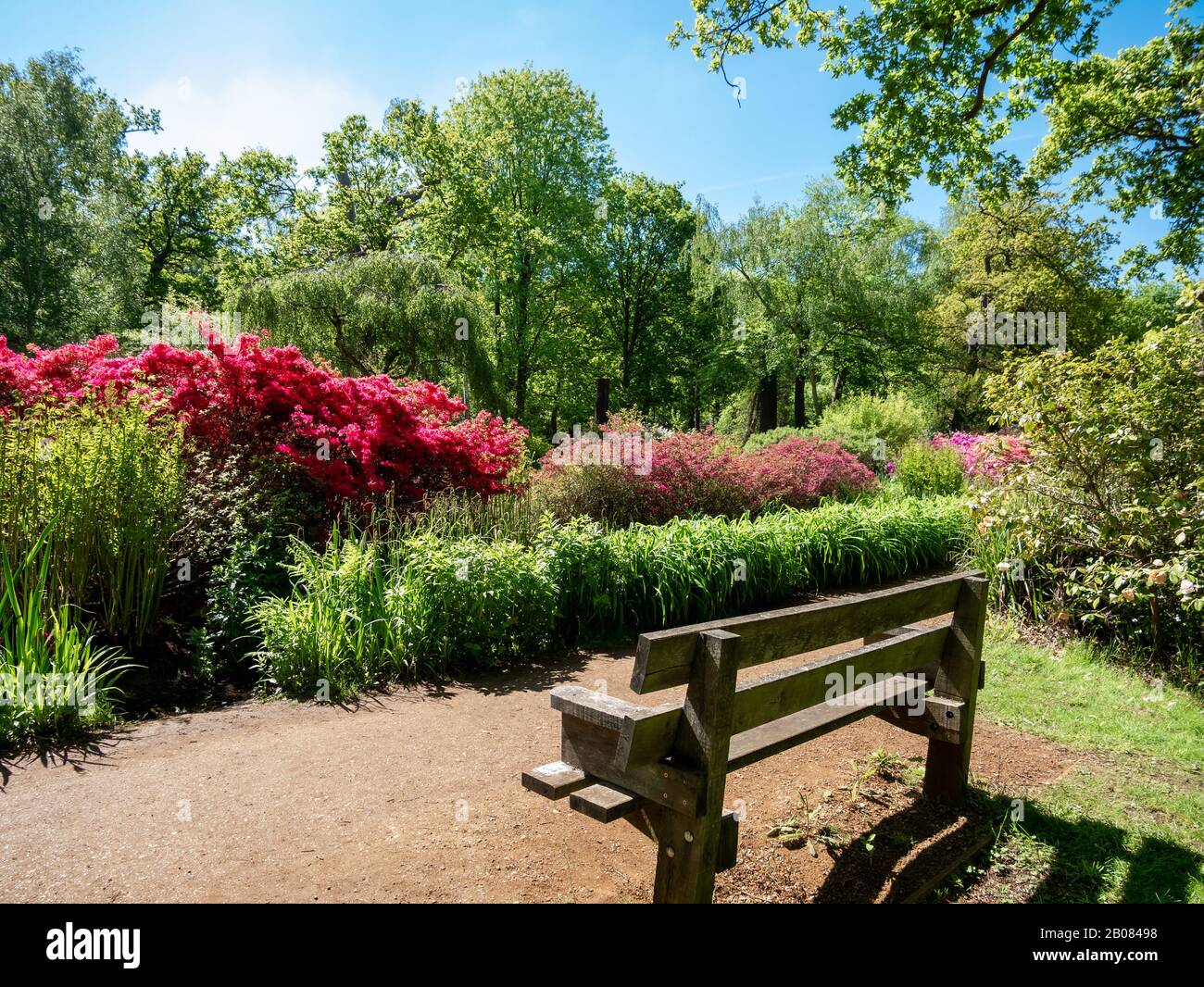 Il giardino reale della piantagione Isabella nel parco di Richmond in primavera, a Londra, Inghilterra Foto Stock