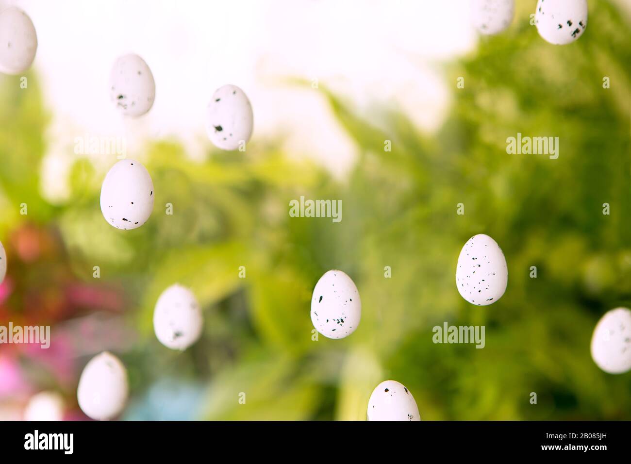Sfondo di Pasqua. Uova di Pasqua in aria su sfondo verde spaziale. Decorazione astratta, di uova bianche con macchie nere disposizione stagionale Foto Stock