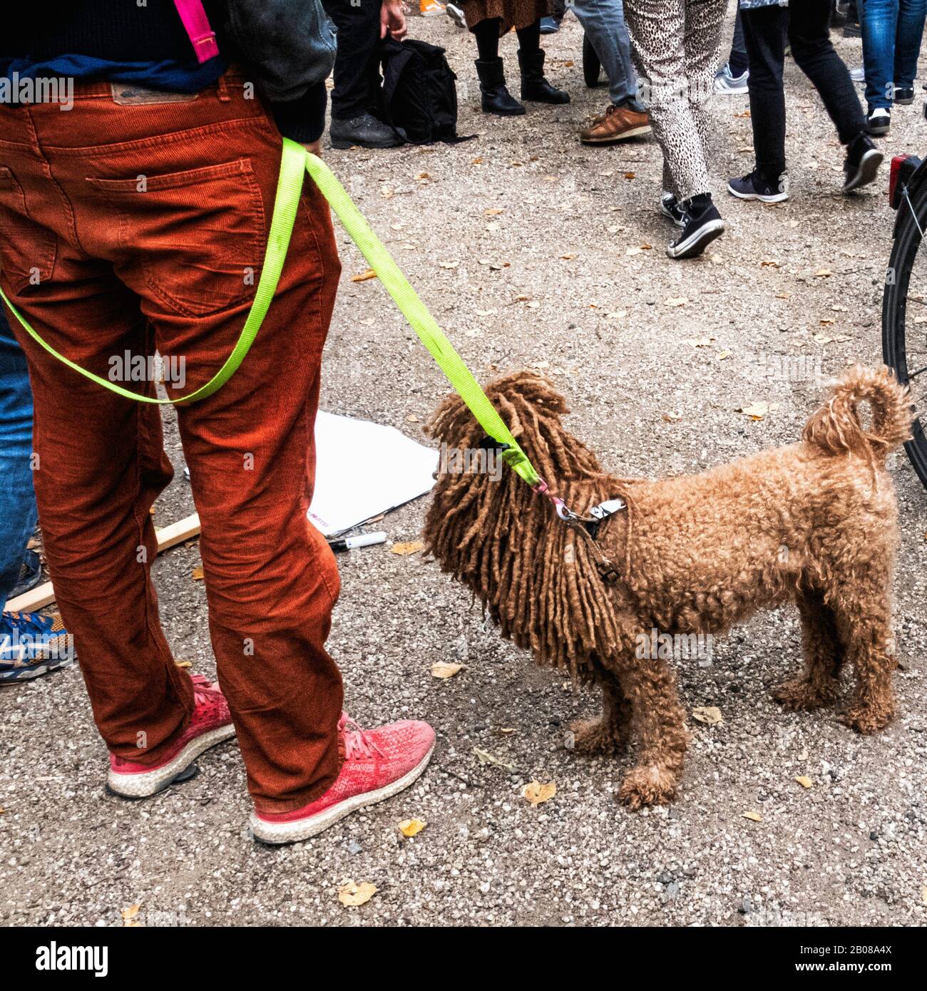 Berlino, Germania, cane Alla Moda con temute serrature e fluorescente giallo piombo a World Climate Strike Foto Stock