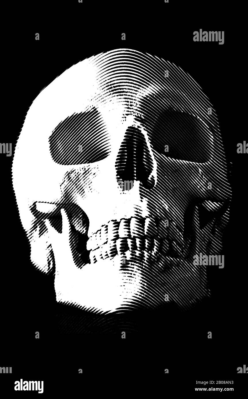 incisione umana del cranio Foto Stock