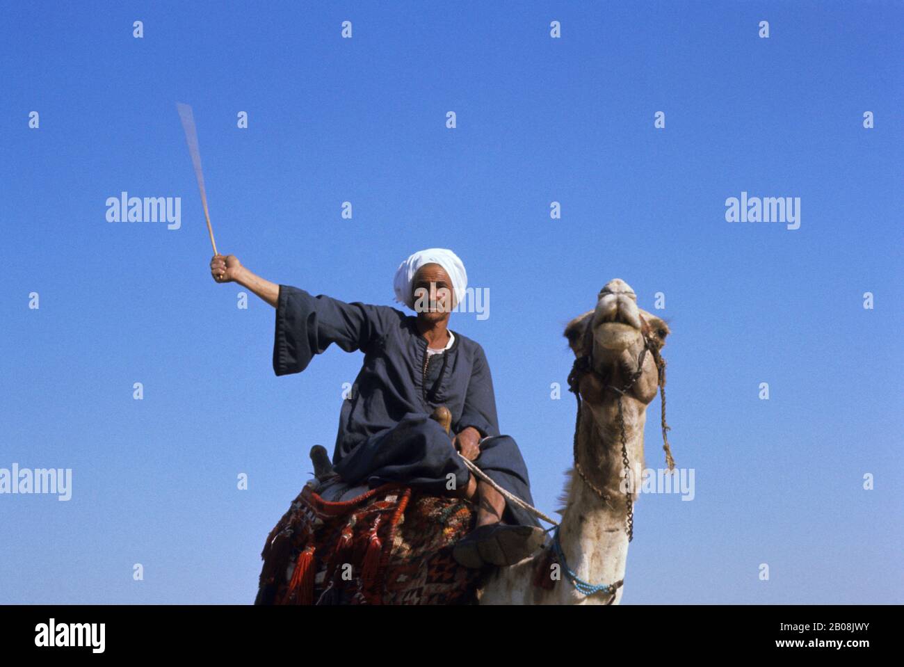 AFRICA, EGITTO, UOMO LOCALE A CAVALLO SU UN CAMMELLO Foto Stock