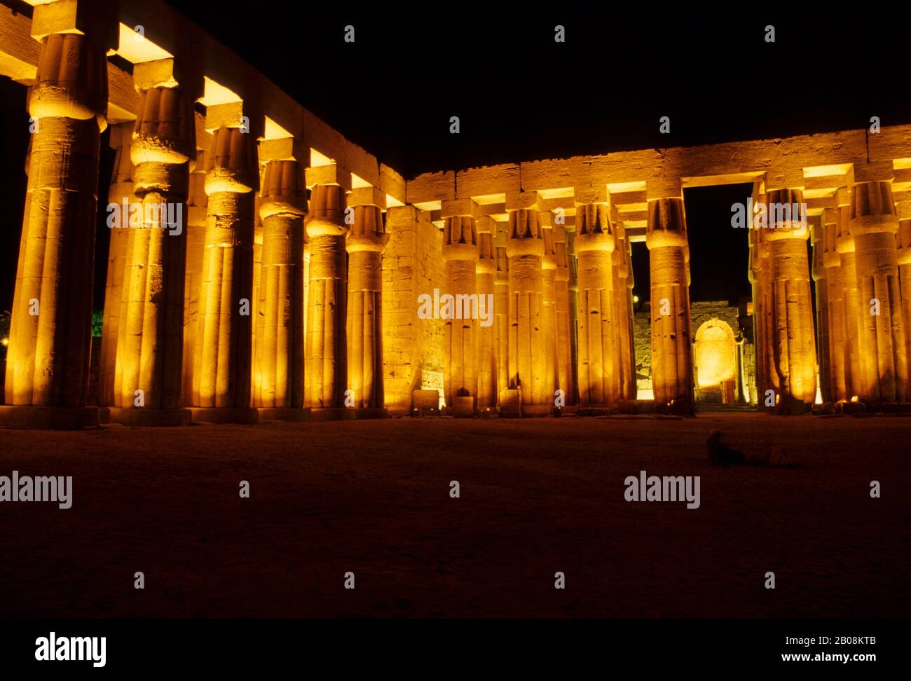 EGITTO, LUXOR, TEMPIO DI LUXOR ILLUMINATO DI NOTTE Foto Stock