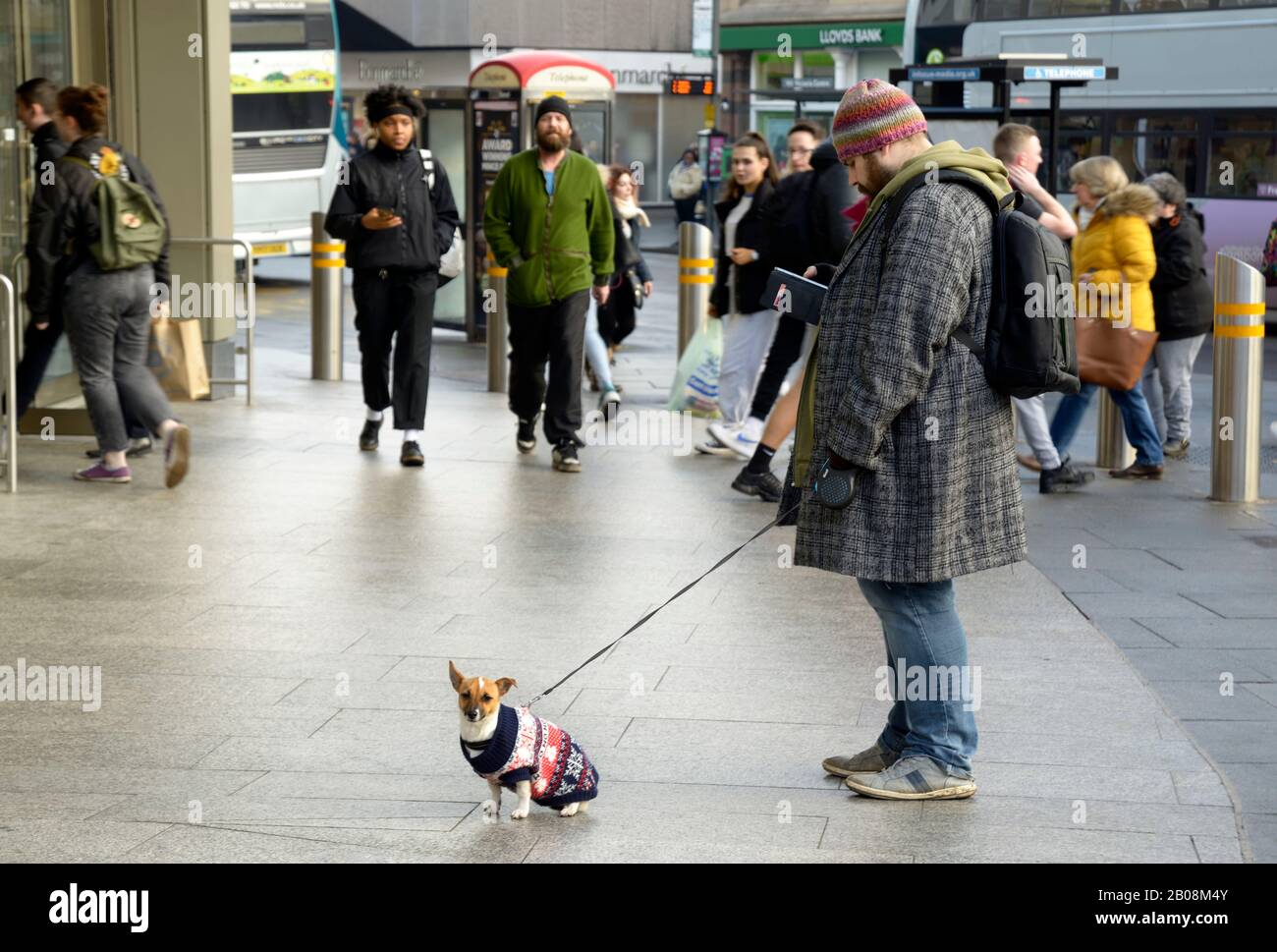 Uomo con piccolo cane in testa, in attesa. Foto Stock