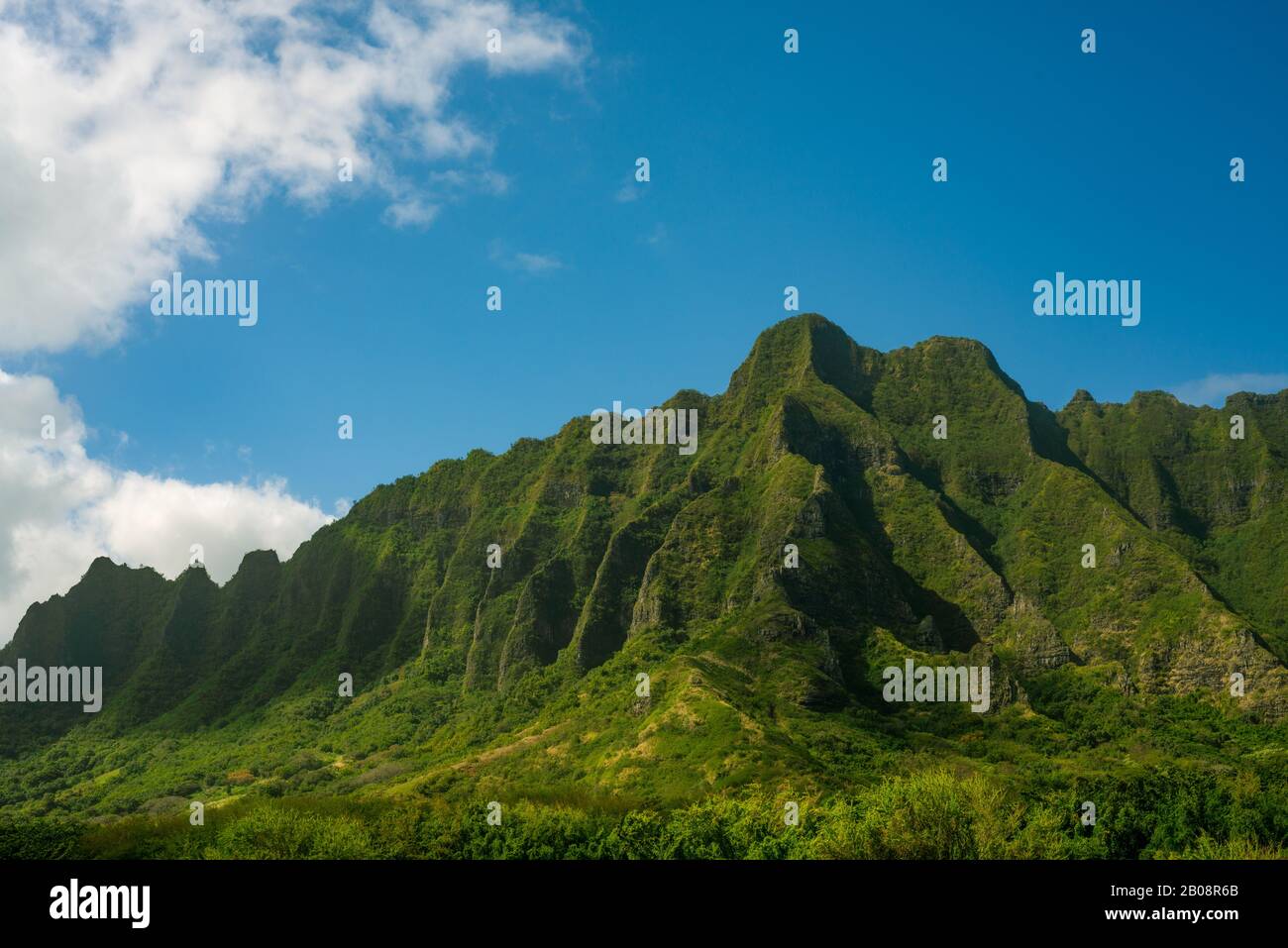 Vista delle montagne di Kualoa sull'isola di Oahu Hawaii Foto Stock