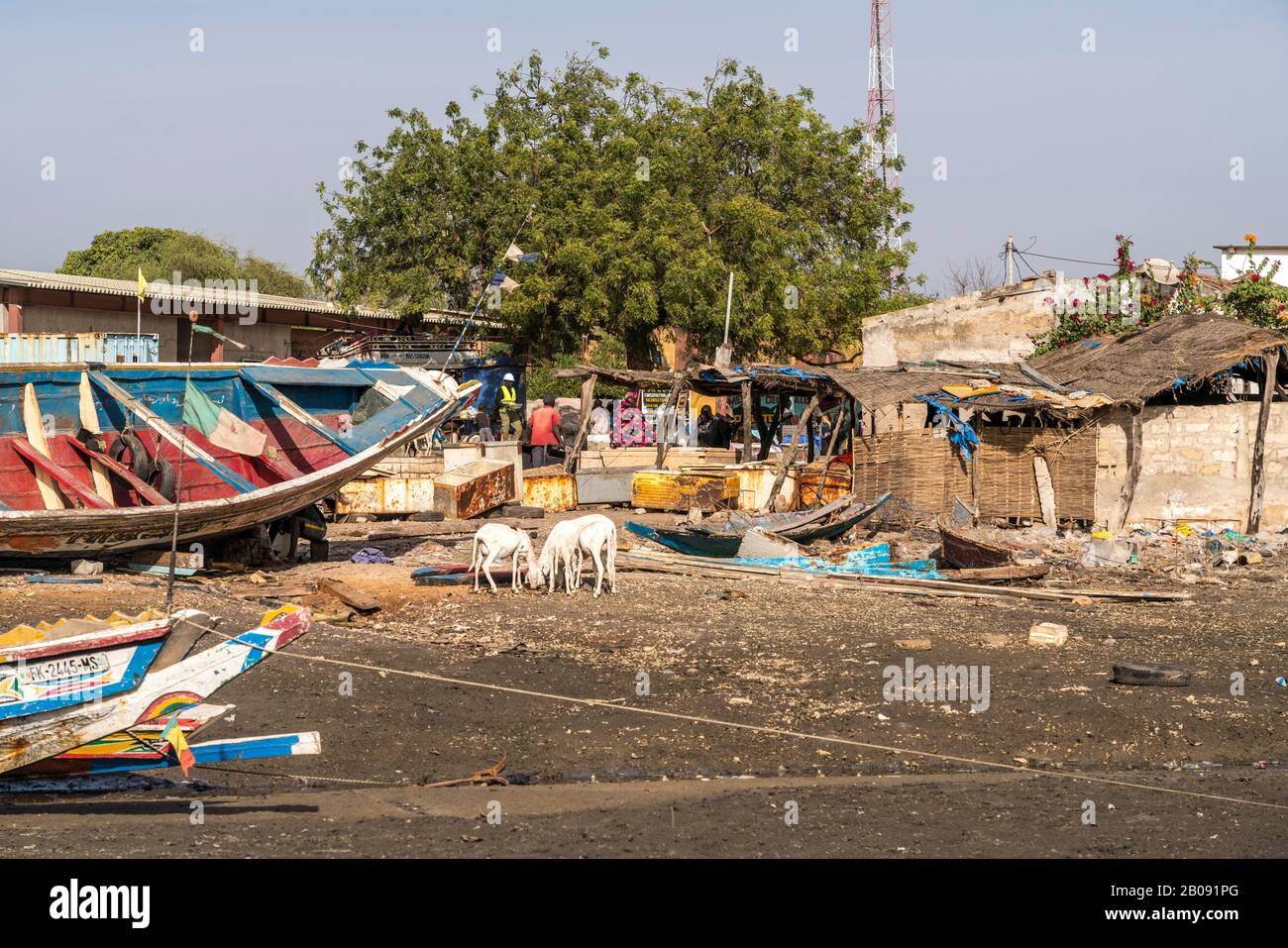 Missirah, Sine Saloum Delta, Senegal, Westafrika | Missirah, Sine Saloum Delta, Senegal, Africa Occidentale, Foto Stock