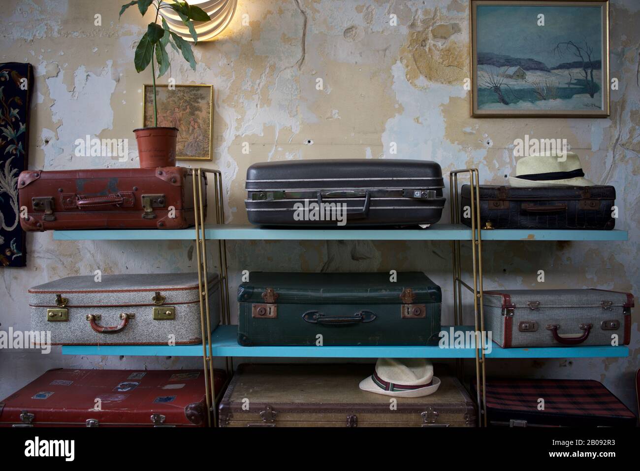 Vecchie valigie esposte su scaffali Formica, Parigi, Francia Foto Stock