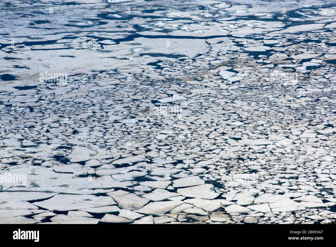 Guardando attraverso il ghiaccio fondente del mare dall'Isola del Diavolo, fuori dalla punta NE della Penisola Antartica. Foto Stock