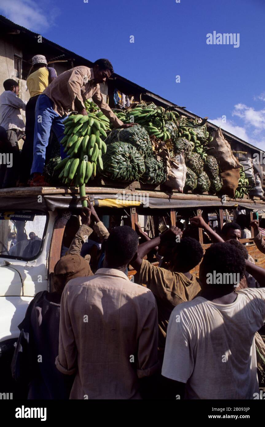 TANZANIA, ISOLA DI ZANZIBAR, CITTÀ DI ZANZIBAR, MERCATO SCENA, LA GENTE CHE SCARICA BANANE DAL TETTO DI AUTOBUS LOCALE Foto Stock