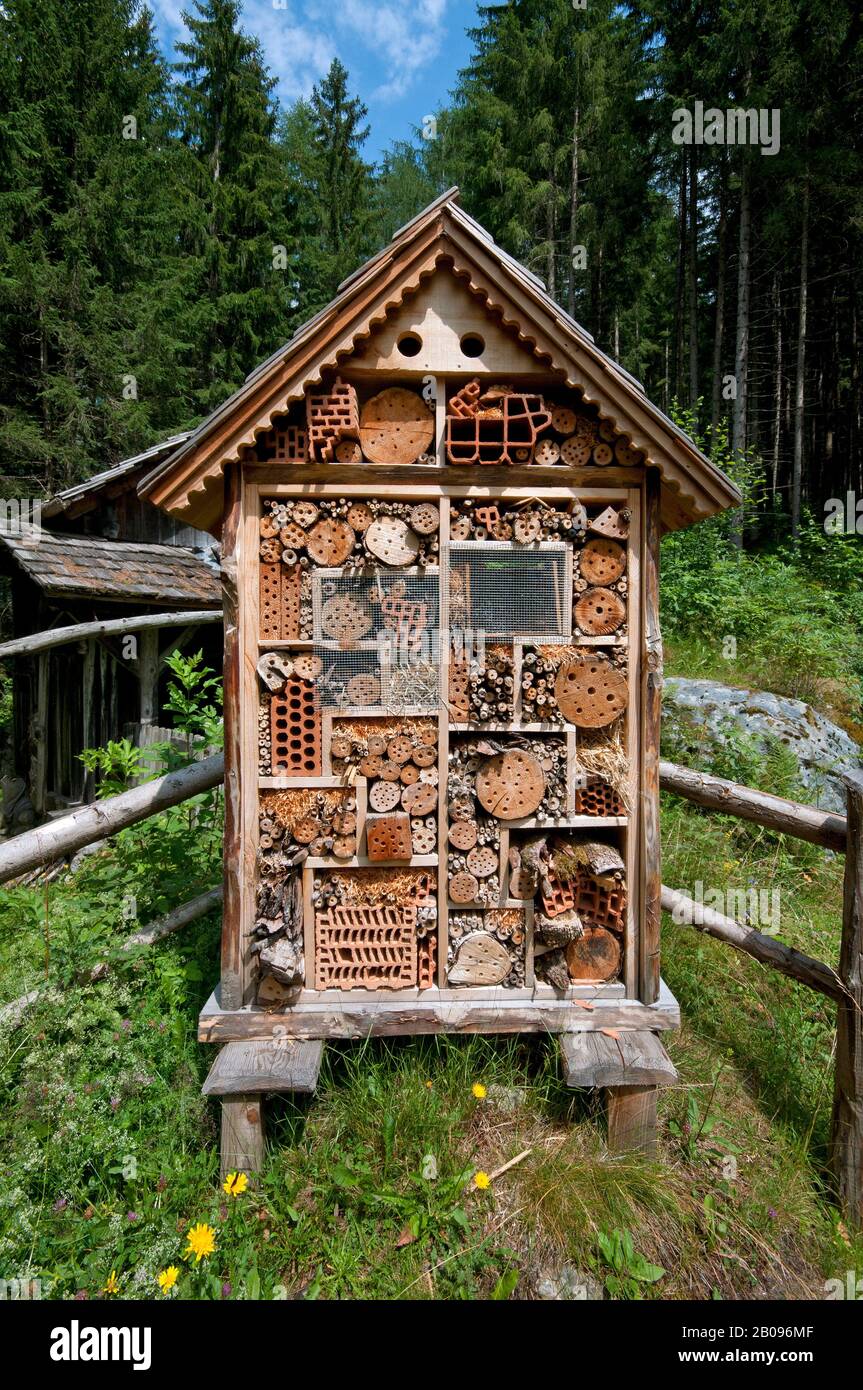 Casa degli insetti nella foresta, Valle Anterselva (Anterselva), Osttirol, Trentino Alto Adige, Italia Foto Stock