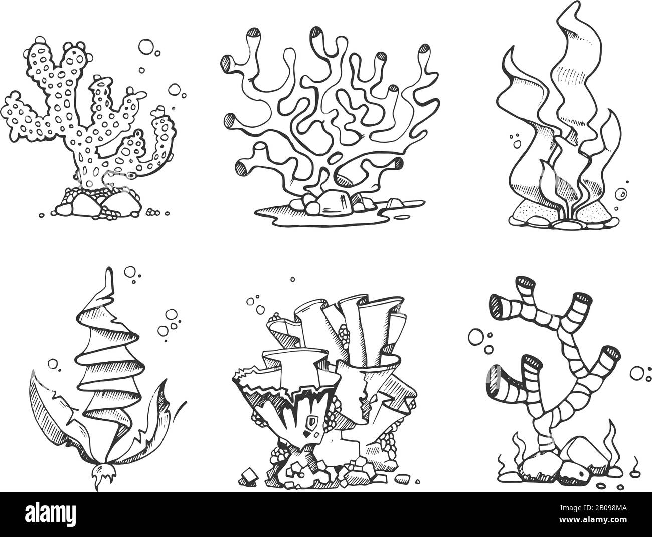 Coralli vintage e alghe in mano disegnata, doodle, disegno vettoriale stile schizzo. Pianta marina di alghe, illustrazione di coralli di cornice Illustrazione Vettoriale