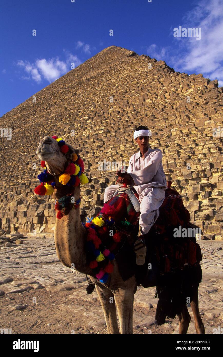 EGITTO, CAIRO, GIZA, PIRAMIDE DI CHEOPE CON L'UOMO LOCALE SUL CAMMELLO IN PRIMO PIANO Foto Stock