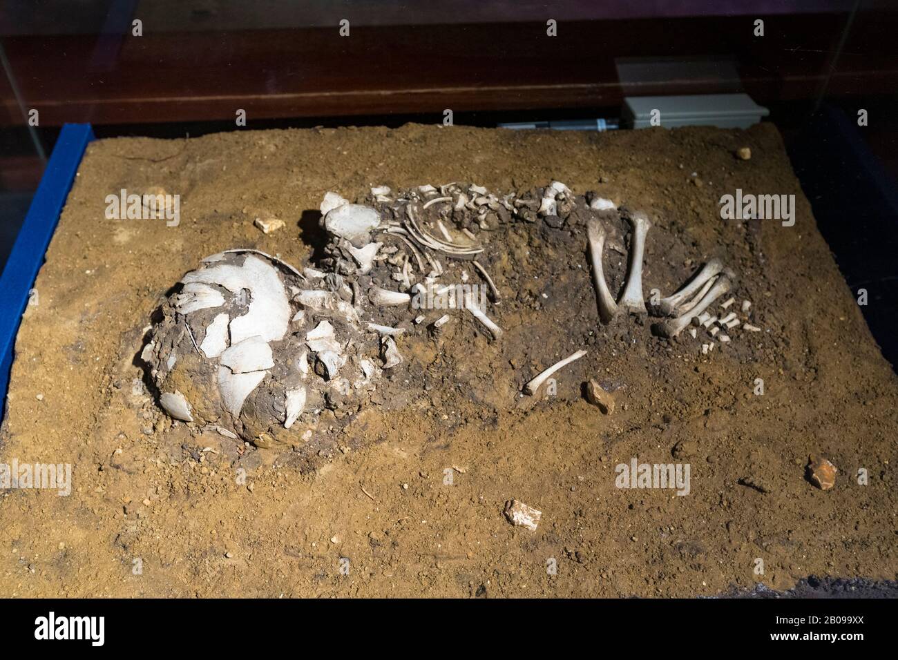 Scheletro di un bambino, fine 2nd secolo, lullingstone villa romana, kent, regno unito Foto Stock