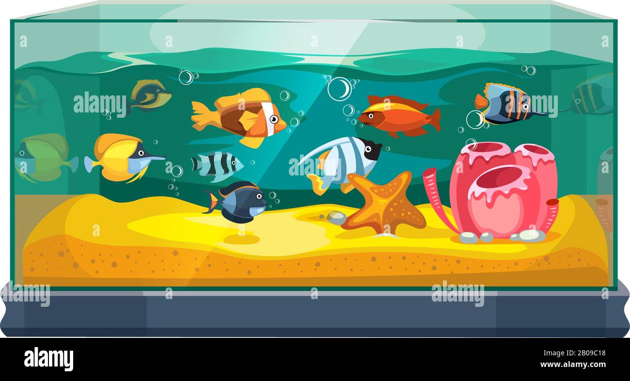 Cartoni animati pesci d'acqua dolce in vasca acquario illustrazione vettoriale. Pesci esotici cartoni animati in acquario illustrazione Illustrazione Vettoriale
